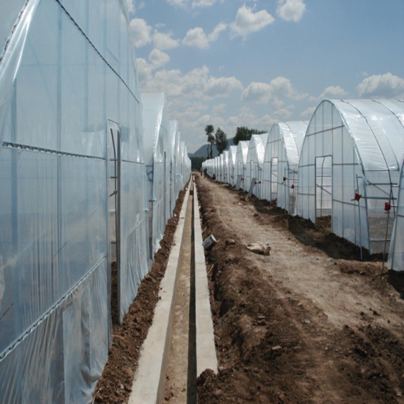 Agriculture Farming Vegetables - 0.04~0.12mm Tarım Serası Filmi Çiftlik Ürünleri