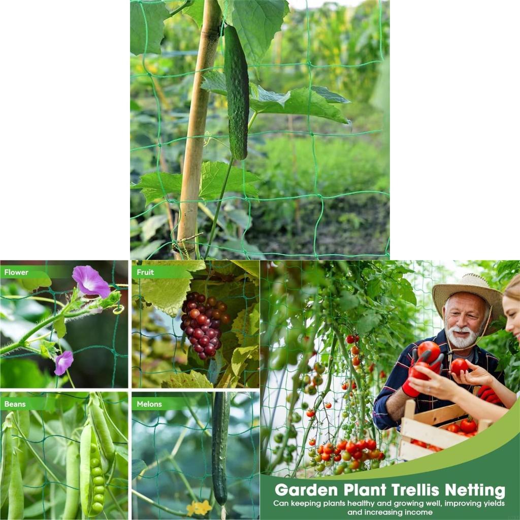 Tırmanma Tesisi için 62KD Bitk - Agriculture Farming Net incelemesi ve fiyatı