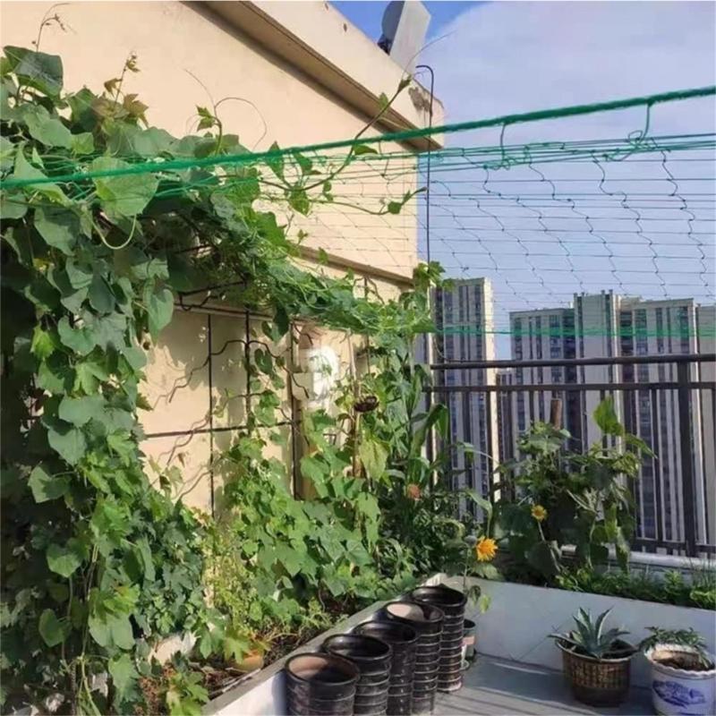 Tırmanma Tesisi için 62KD Bitk - Agriculture Farming Net incelemesi ve fiyatı