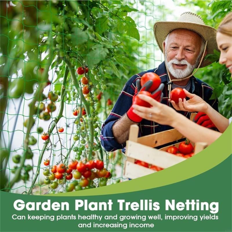 Tırmanma Tesisi için 62KD Bitk - Agriculture Farming Net incelemesi ve fiyatı