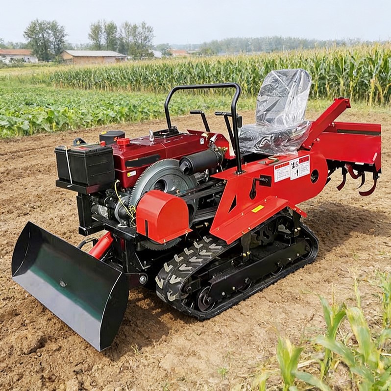 Bahçe, meyve bahçesi ve tarla  - Farming Agriculture Land incelemesi ve fiyatı