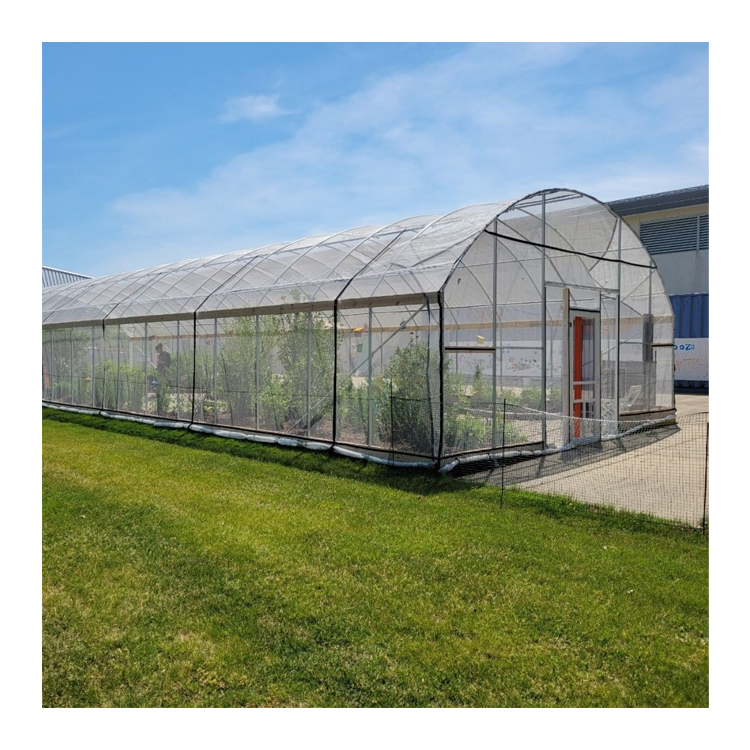 Akıllı Komple Set Ucuz Sera Ye - Agriculture Farming Net incelemesi ve fiyatı